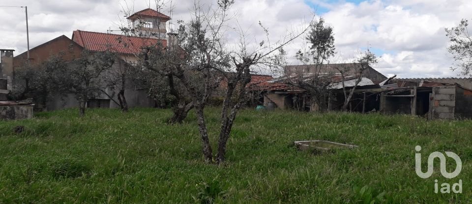 Building plot in Cardigos of 1,110 m²