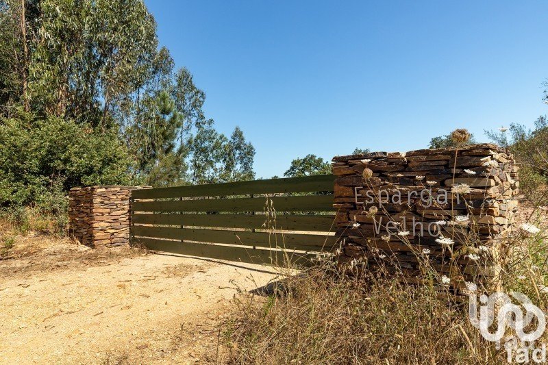 Land in São Salvador e Santa Maria of 386,540 m²