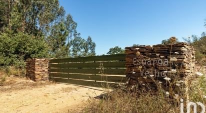 Land in São Salvador e Santa Maria of 386,540 m²