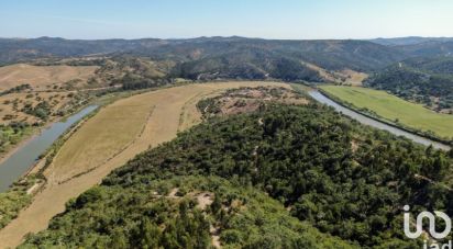 Land in São Salvador e Santa Maria of 386,540 m²