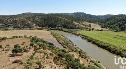 Land in São Salvador e Santa Maria of 386,540 m²