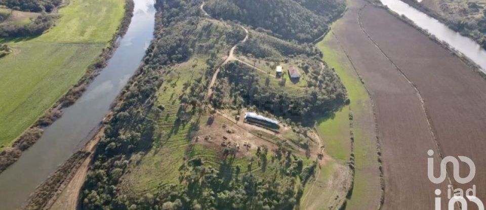 Land in São Salvador e Santa Maria of 386,540 m²