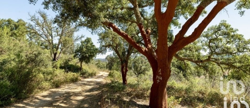 Land in São Salvador e Santa Maria of 386,540 m²