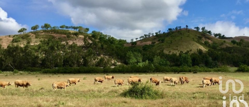 Land in São Salvador e Santa Maria of 386,540 m²