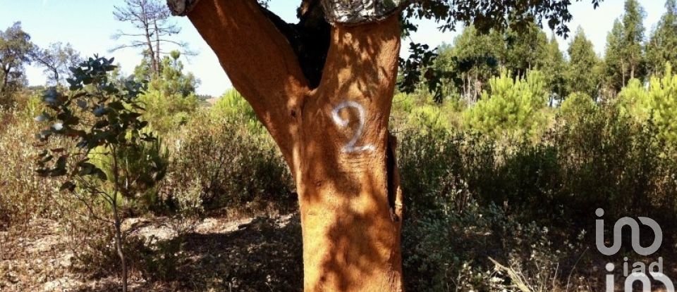 Land in São Salvador e Santa Maria of 386,540 m²