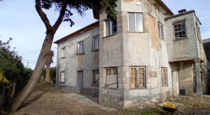 Maison T4 à Espinho de 230 m²