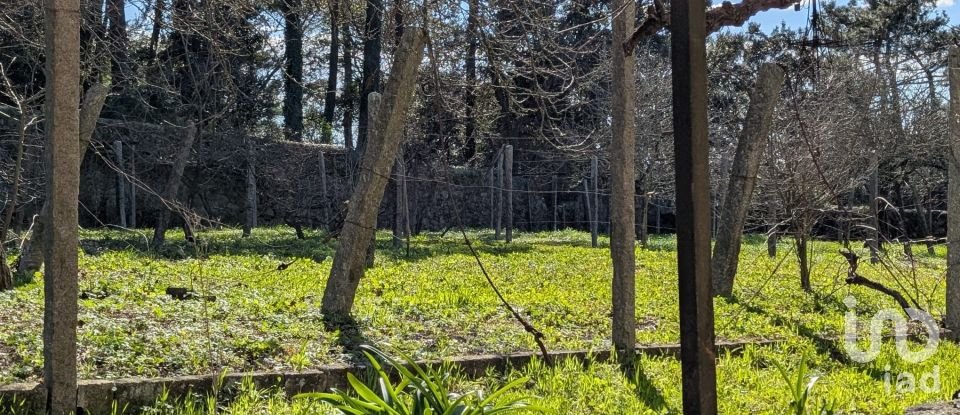 Moradia T6 em Touguinha E Touguinhó de 512 m²