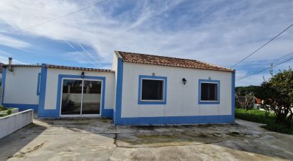 Maison T2 à Santo Isidoro de 123 m²