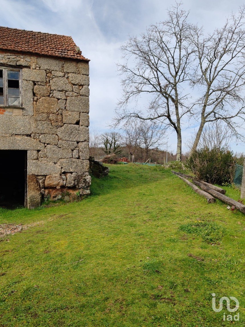 Ferme T0 à Oliveira do Hospital e São Paio de Gramaços de 94 m²