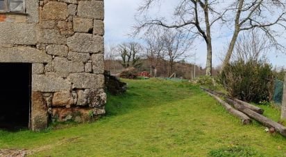 Ferme T0 à Oliveira do Hospital e São Paio de Gramaços de 94 m²