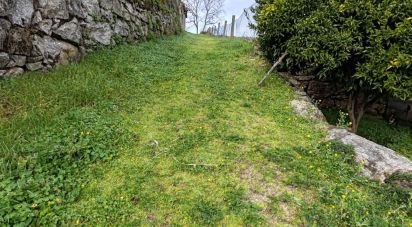 Ferme T0 à Oliveira do Hospital e São Paio de Gramaços de 94 m²