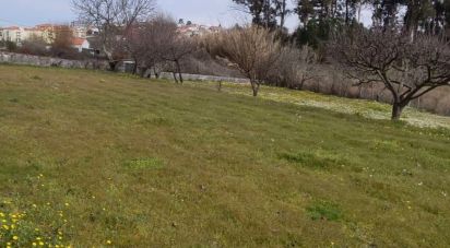 Ferme T0 à Oliveira do Hospital e São Paio de Gramaços de 94 m²