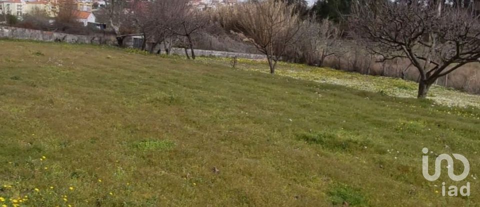 Ferme T0 à Oliveira do Hospital e São Paio de Gramaços de 94 m²