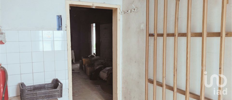 Shop / premises commercial in Cano of 90 m²