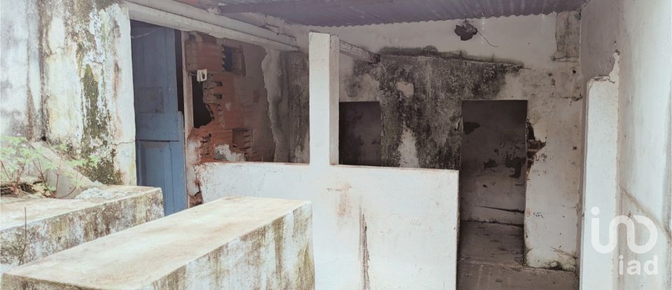 Shop / premises commercial in Cano of 90 m²