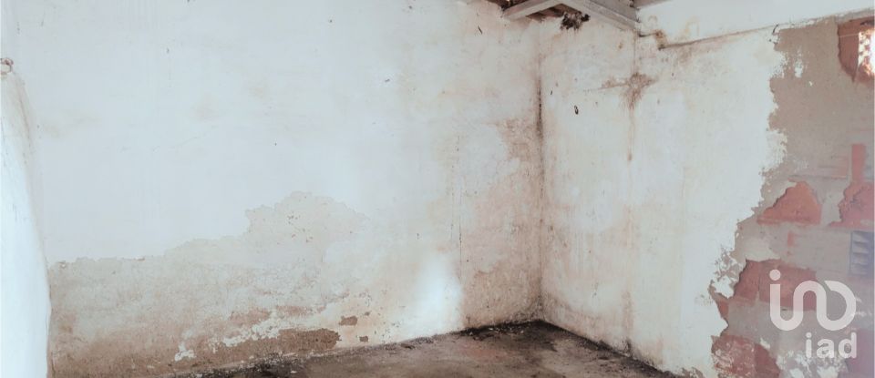 Shop / premises commercial in Cano of 90 m²