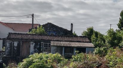 Gîte T1 à Piedade de 94 m²