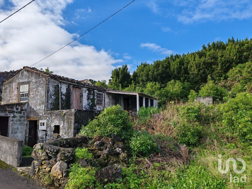 Gîte T1 à Piedade de 94 m²