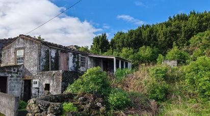 Gîte T1 à Piedade de 94 m²