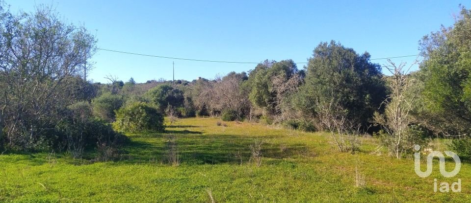 Terreno de Lazer em Barão de São Miguel de 9 160 m²