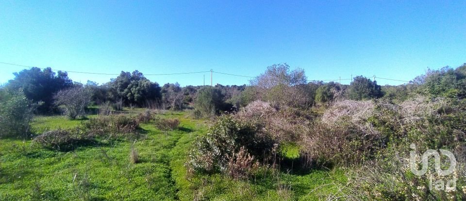 Terreno de Lazer em Barão de São Miguel de 9 160 m²