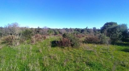 Terrain Loisirs à Barão de São Miguel de 9 160 m²