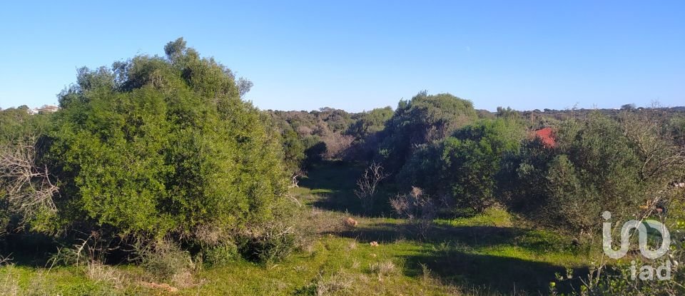 Terreno de Lazer em Barão de São Miguel de 9 160 m²