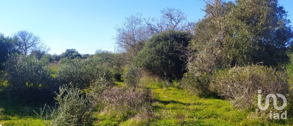 Terreno de Lazer em Barão de São Miguel de 9 160 m²