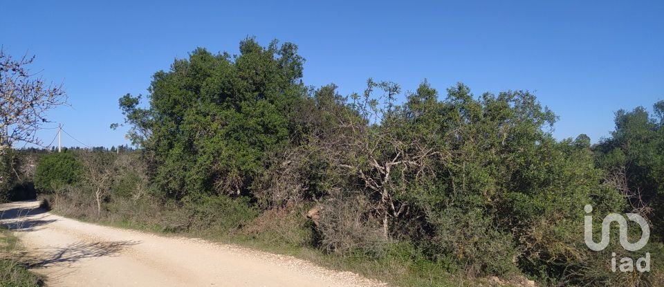 Terreno de Lazer em Barão de São Miguel de 9 160 m²