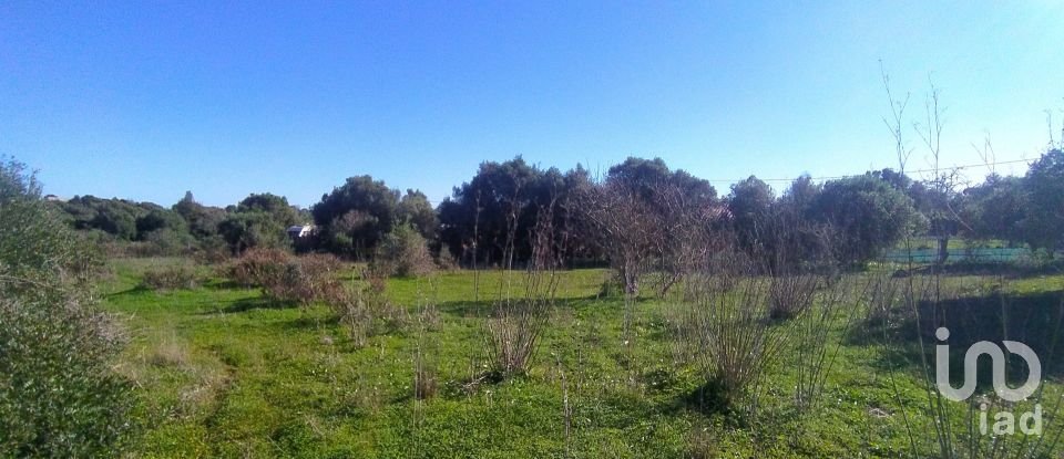 Terreno de Lazer em Barão de São Miguel de 9 160 m²