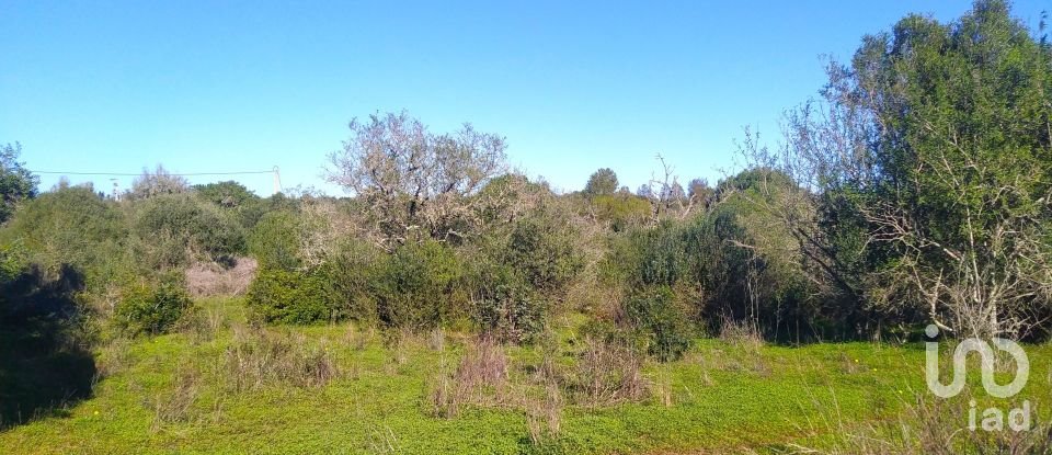 Terreno de Lazer em Barão de São Miguel de 9 160 m²