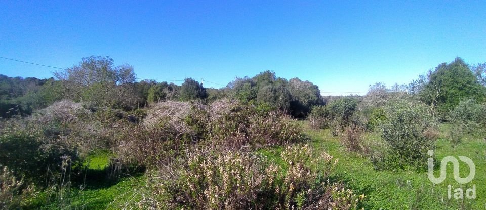 Terreno de Lazer em Barão de São Miguel de 9 160 m²