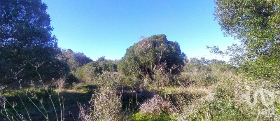 Terreno de Lazer em Barão de São Miguel de 9 160 m²