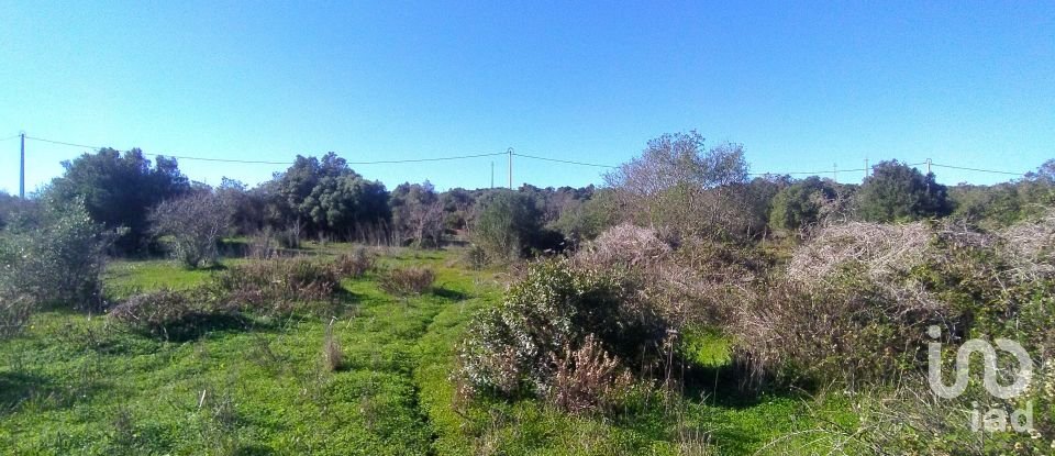 Terreno de Lazer em Barão de São Miguel de 9 160 m²