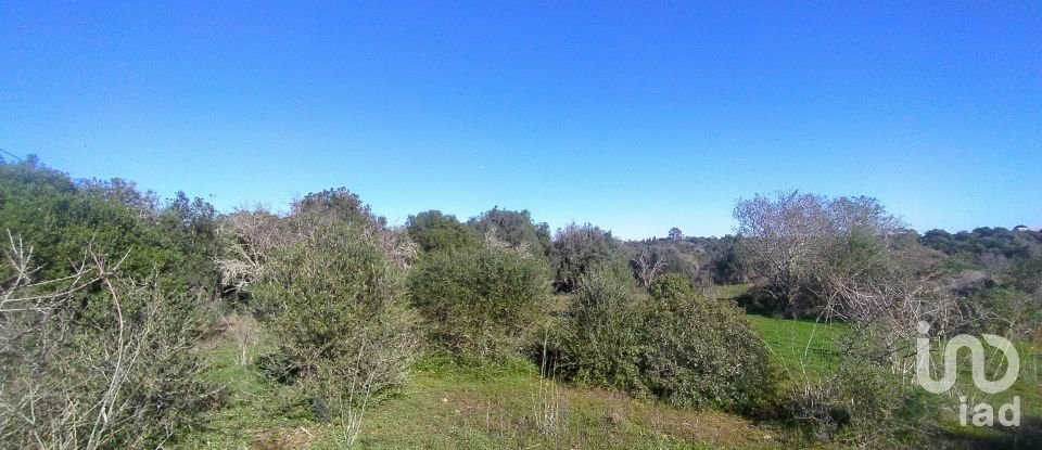 Terreno de Lazer em Barão de São Miguel de 9 160 m²