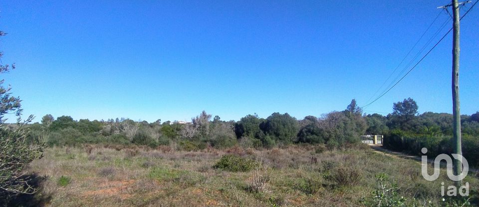 Terreno de Lazer em Barão de São Miguel de 9 160 m²