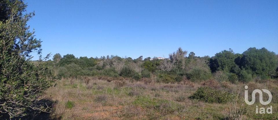 Terreno de Lazer em Barão de São Miguel de 9 160 m²