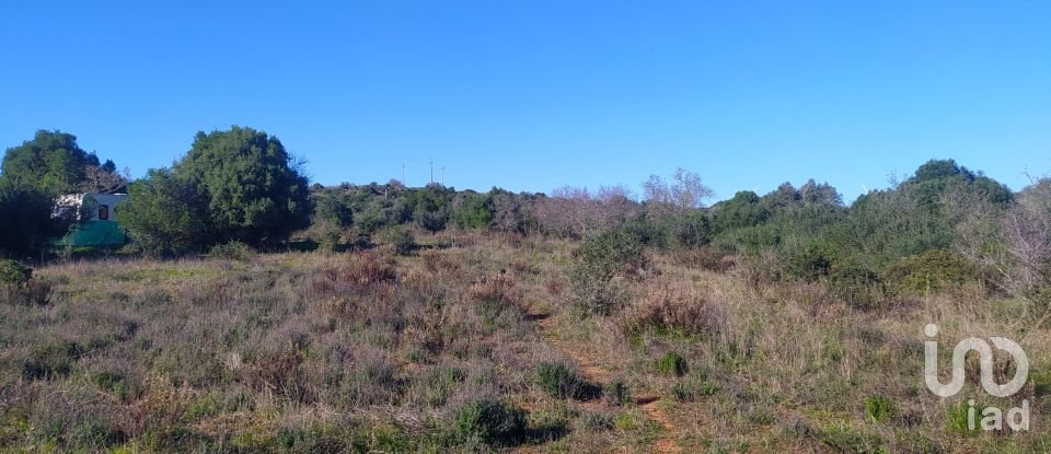 Terreno de Lazer em Barão de São Miguel de 9 160 m²