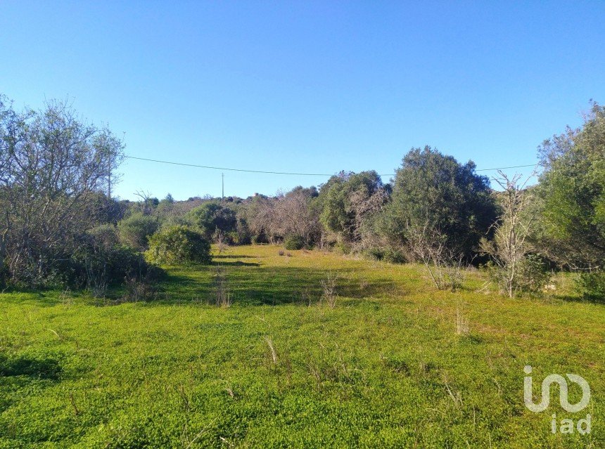 Terreno de Lazer em Barão de São Miguel de 9 160 m²