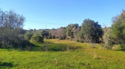 Terrain Loisirs à Barão de São Miguel de 9 160 m²