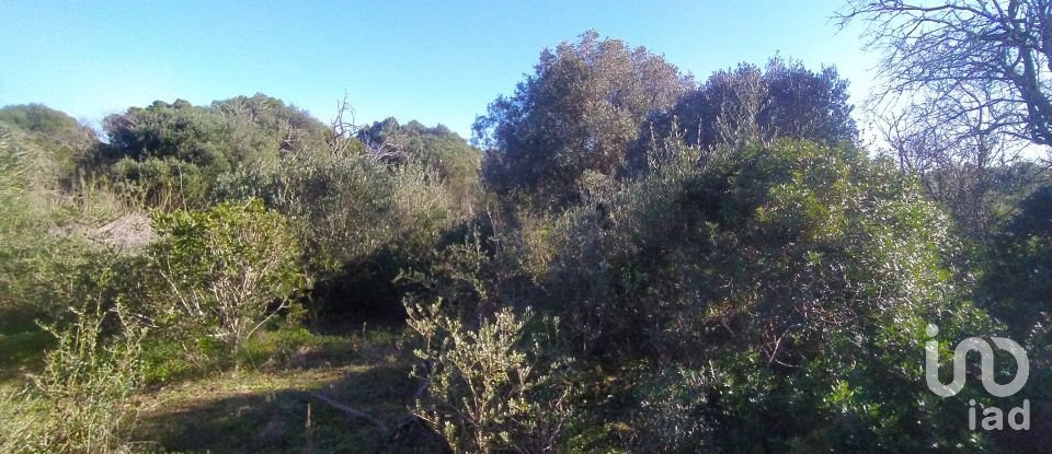 Terreno de Lazer em Barão de São Miguel de 9 160 m²