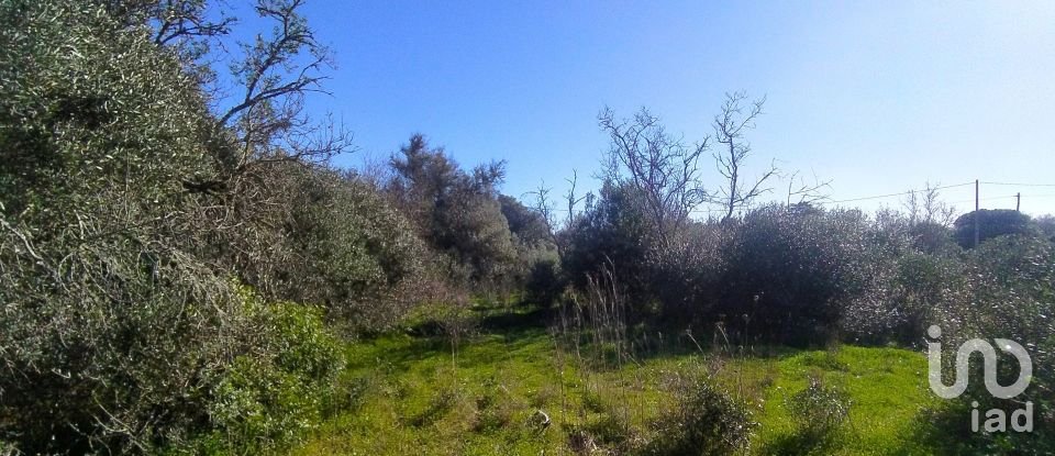 Terreno de Lazer em Barão de São Miguel de 9 160 m²