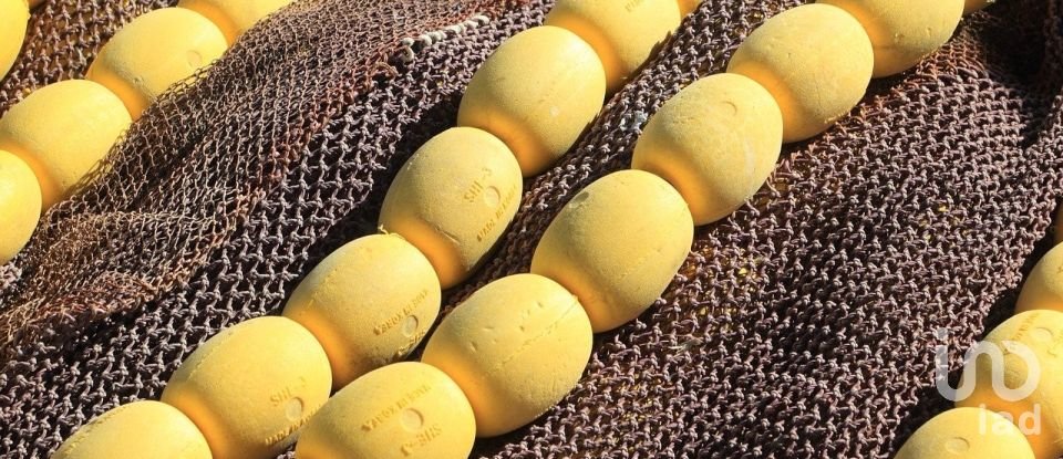 Terreno de Lazer em Barão de São Miguel de 9 160 m²