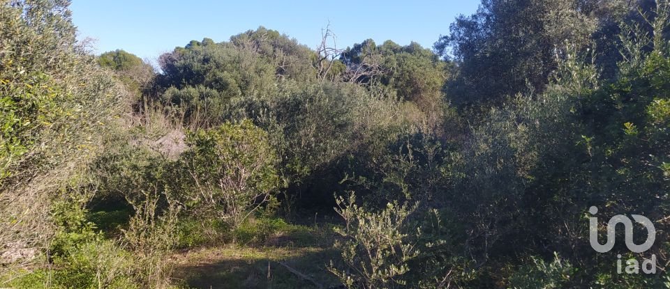 Terreno de Lazer em Barão de São Miguel de 9 160 m²