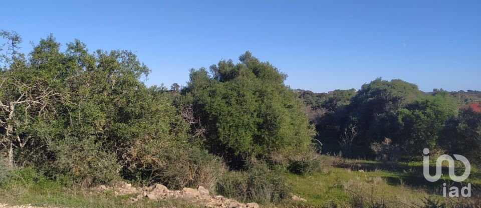 Terreno de Lazer em Barão de São Miguel de 9 160 m²