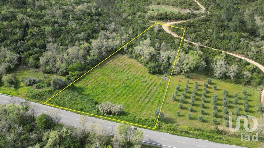 Farm land in Podentes of 7,518 m²