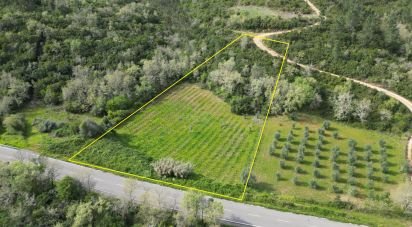 Terrain agricole à Podentes de 7 518 m²