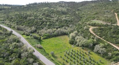 Terrain agricole à Podentes de 7 518 m²