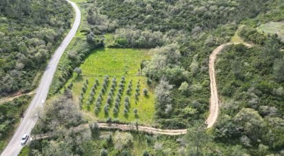 Terrain agricole à Podentes de 7 518 m²