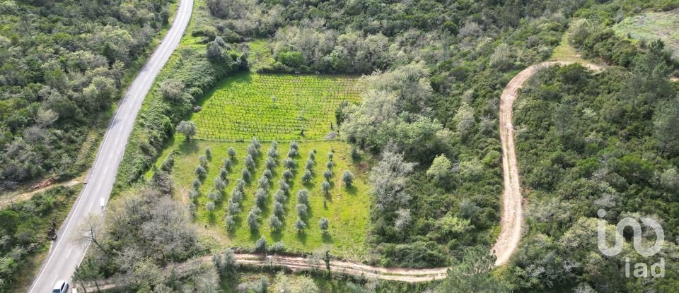 Farm land in Podentes of 7,518 m²